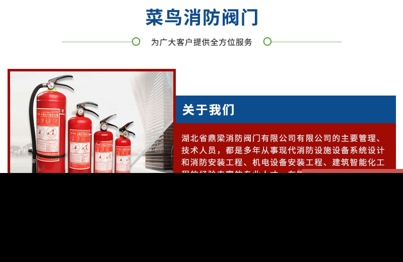守護江城安全 帶你了解武漢專業的滅火器檢修與菜鳥消防器材服務